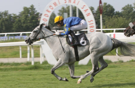 Ippodromo Snai San Siro Corsa4_PREMIO DEL GIUBILEO Arrivo TAANY