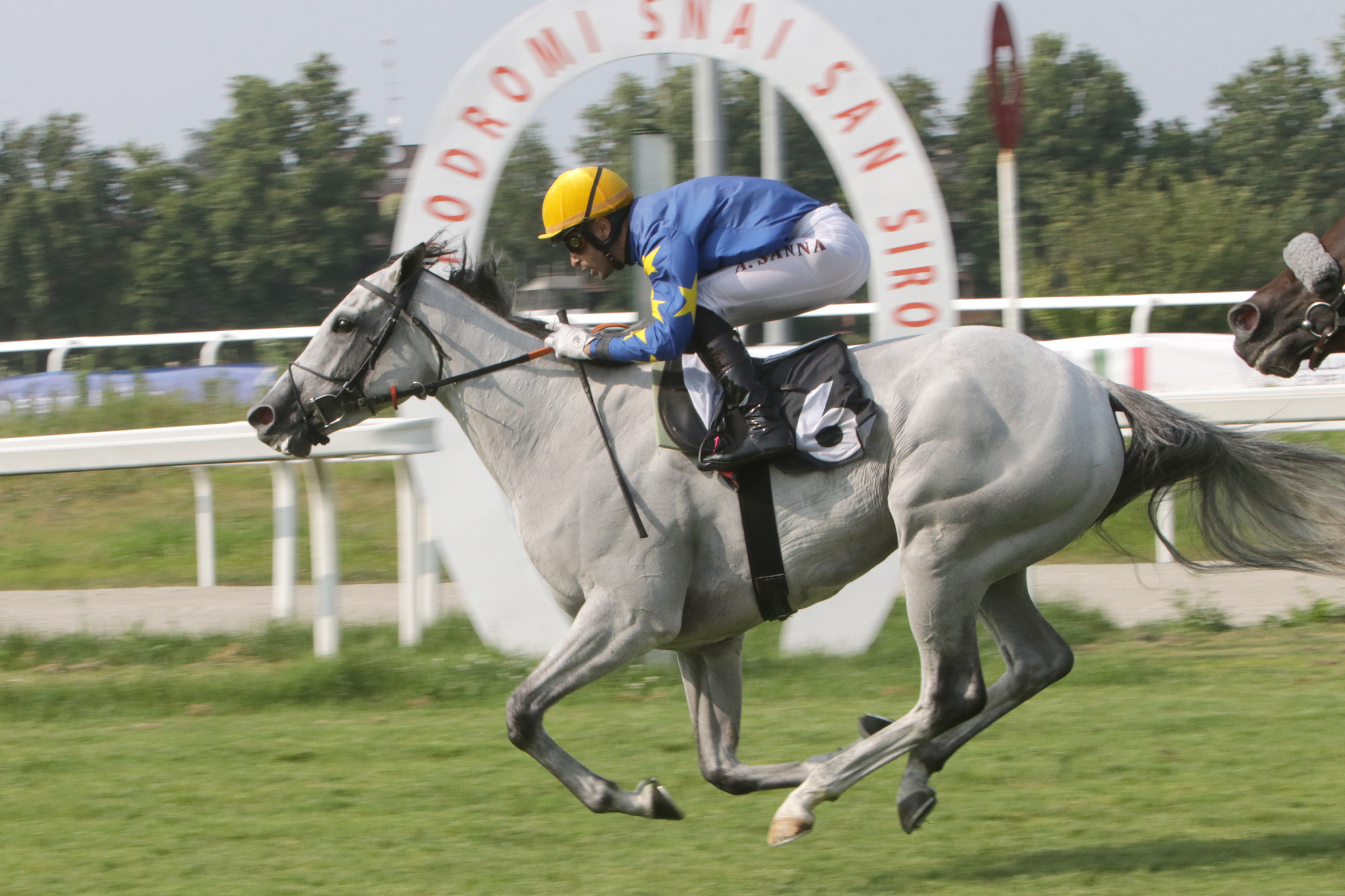 Galoppo all'Ippodromo Snai San Siro: Taany regina nel Premio del Giubileo 1 Ippodromo Snai San Siro Corsa4_PREMIO DEL GIUBILEO Arrivo TAANY