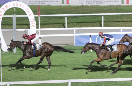 All'Ippodromo SNAI San Siro domenica che parla "inglese" con Eternal Elixir che vince il Premio estate. 1 All'Ippodromo SNAI San Siro domenica che parla "inglese" con Eternal Elixir che vince il Premio estate.