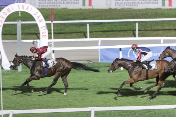 All'Ippodromo SNAI San Siro domenica che parla "inglese" con Eternal Elixir che vince il Premio estate.