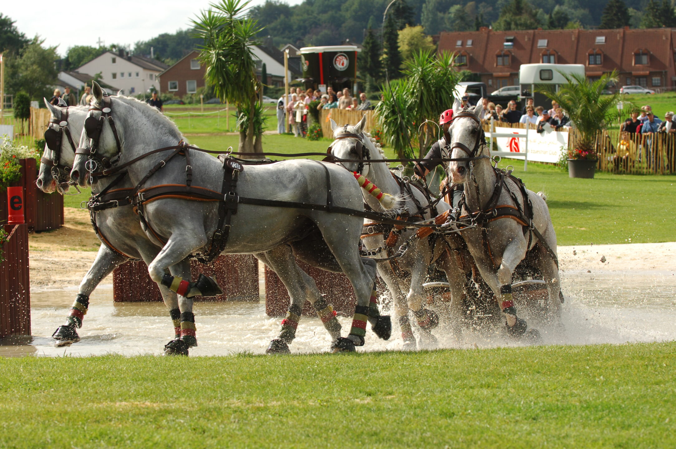 Attacchi: non perdere il Campionato Italiano di Combinata e il Campionato Italiano di Completo 1 DeBRAUWER BEL Weg2006 SSS 2498
