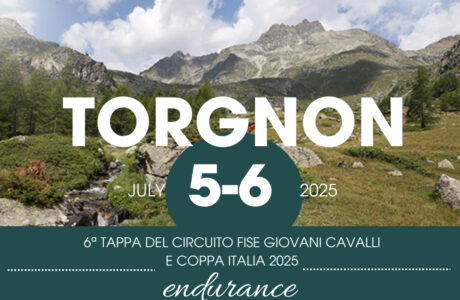 Torgnon: l'endurance sale di quota a luglio 1 Endurance a Torgnon locandina
