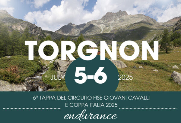 Endurance a Torgnon locandina