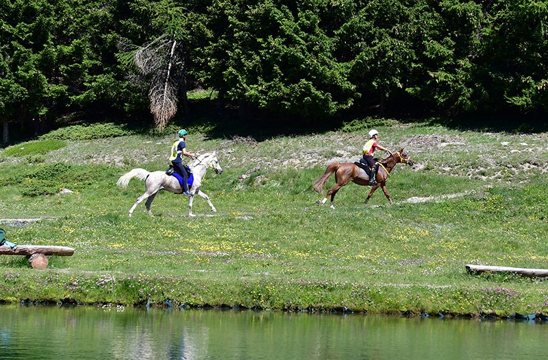 Torgnon: l'endurance sale di quota a luglio 3 Endurance a Torgnon