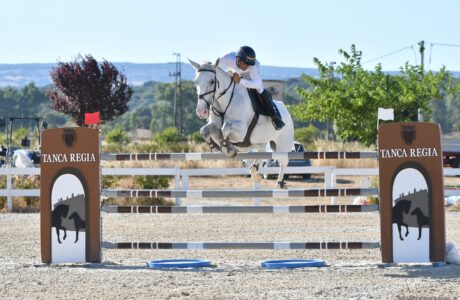 Giovanni Carboni su Ardita Nice vince il Gran Premio e la classifica dei 7 anni e oltre a Tanca Regia per la 2^ tappa del Trofeo Asvi 1 Giovanni Carboni su Ardita Nice foto Corbinzolu 1