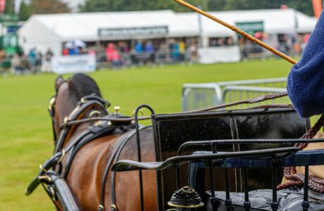 Attacchi protagonisti a Padova: al via il Campionato Italiano Combinata e la Coppa delle Regioni 2025 1 Campionato italiano di attacchi Combinata