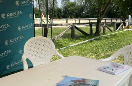 Circuito FISE cavalli giovani spnsored by Avantea: i risultati della terza tappa 1 IMG 1248