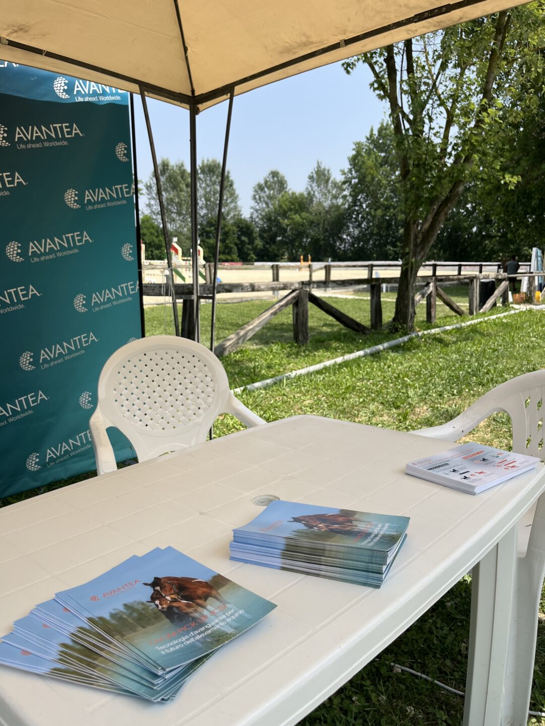 Circuito FISE cavalli giovani spnsored by Avantea: i risultati della terza tappa 1 IMG 1248
