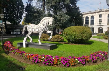 Domenica 29 giugno all’Ippodromo Snai San Siro 1 IPPODROMO SNAI SAN SIRO MILANO