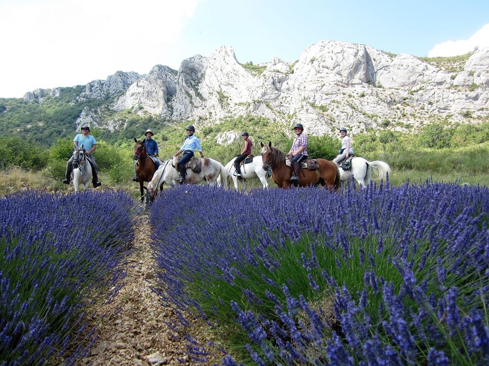 In sella alla stagione dei sogni: 4 mete perfette per una primavera/estate a cavallo 2 Il mondo a cavallo per un viaggio in estate e primavera (1)