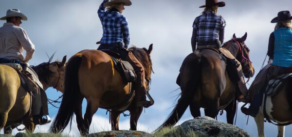 Il mondo a cavallo