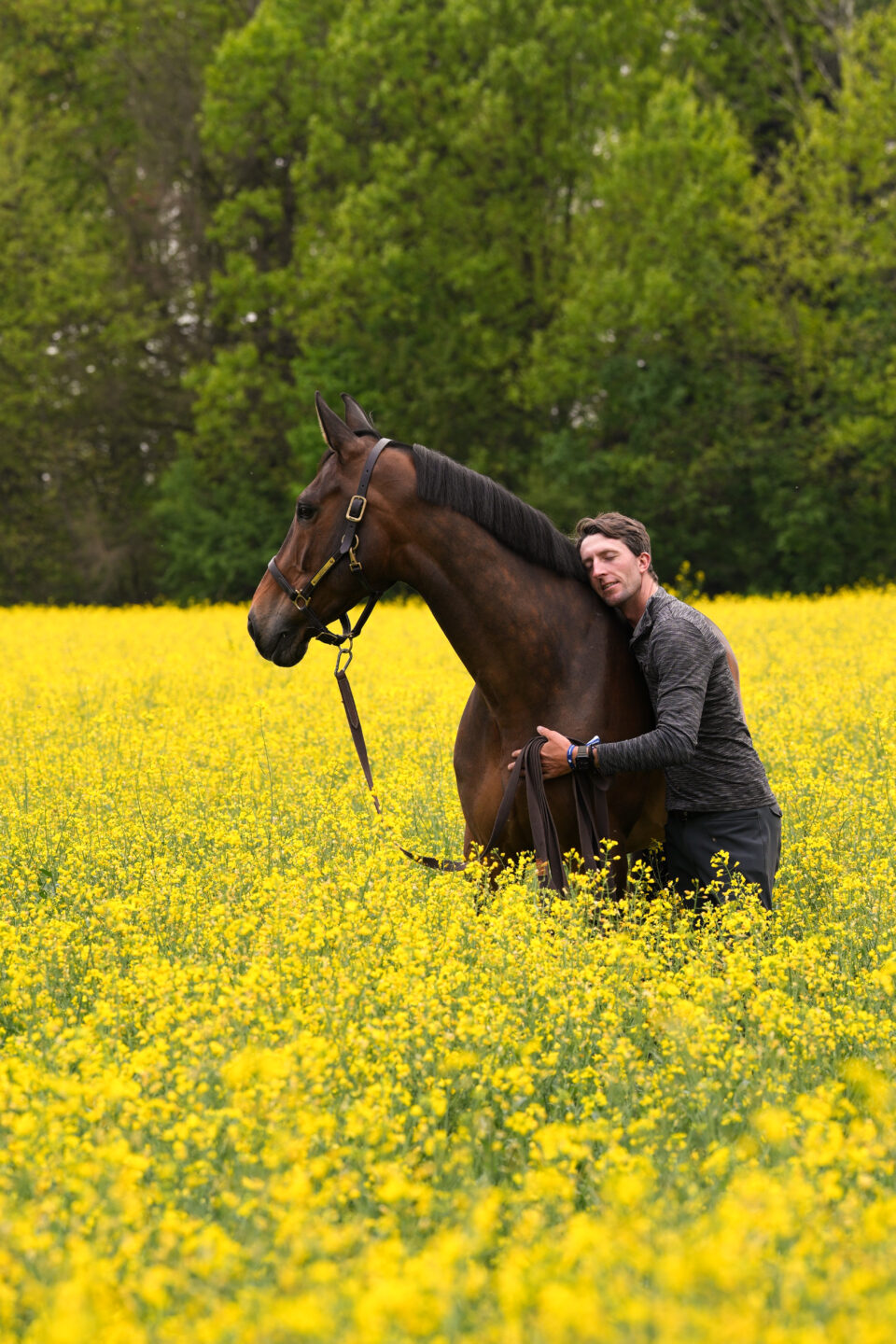Louis Wood: “Lascia che il cavallo sia un cavallo.” 3 Louis Wood