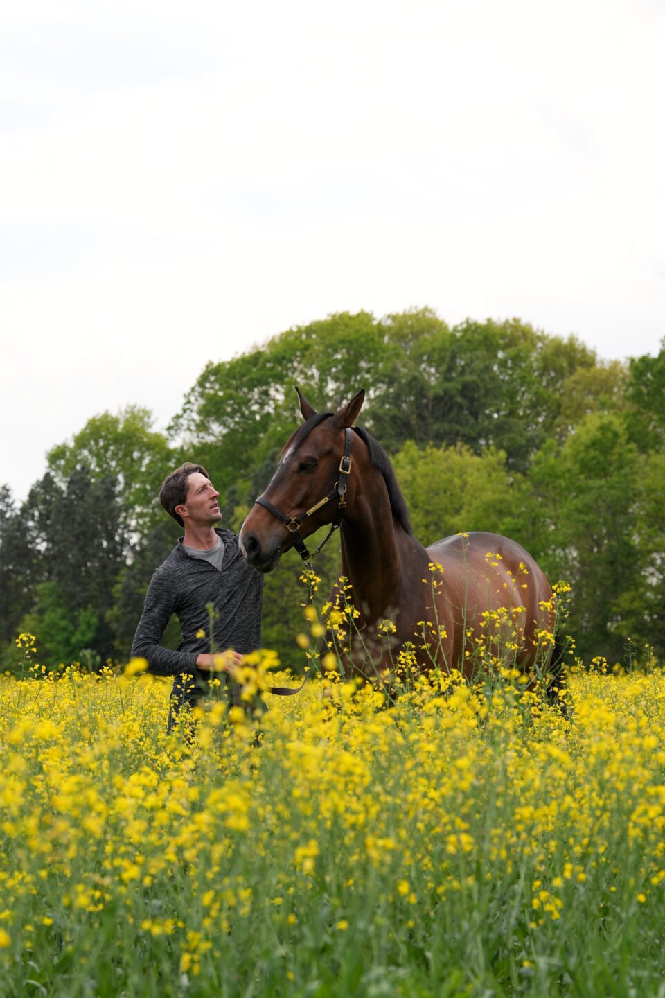 Louis Wood: “Lascia che il cavallo sia un cavallo.” 1 Louis Wood