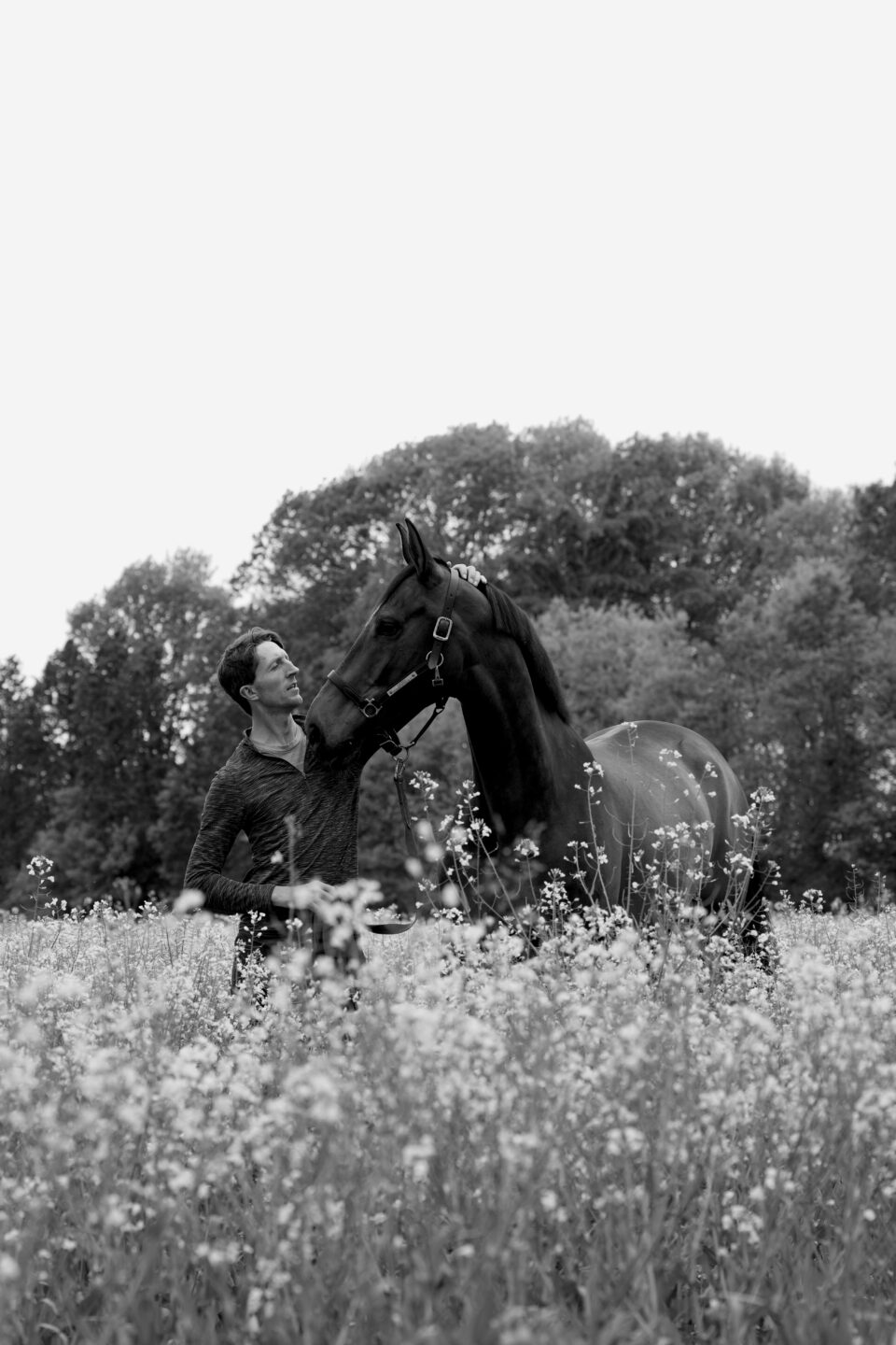 Louis Wood: “Let the horse be a horse.” 2 Loui Wood 4 1
