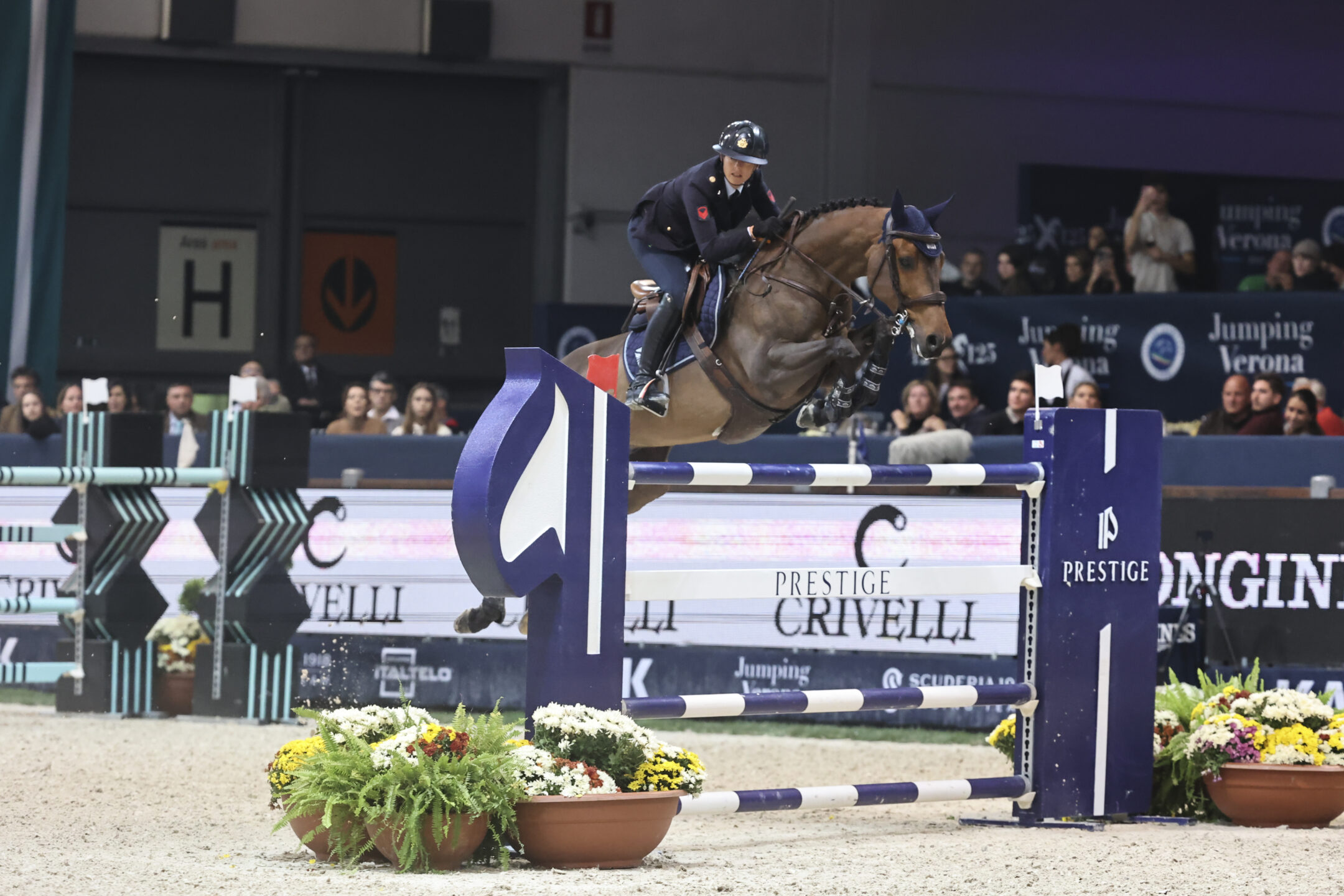 CSIO5* Rotterdam 2025: ecco i binomi convocati per il Team Italia nella LLN 2 Giulia Martinengo su Delta d'Isle