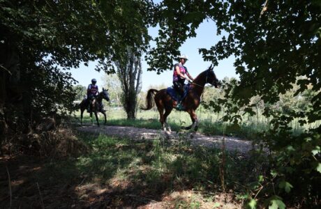 In Umbria l’élite dell’endurance equestre continentale: i binomi di 21 nazioni ai nastri di partenza del Campionato Europeo 2025. 1 In Umbria l’élite dell’endurance equestre continentale: i binomi di 21 nazioni ai nastri di partenza del Campionato Europeo 2025.