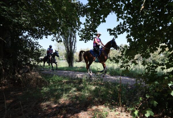 In Umbria l’élite dell’endurance equestre continentale: i binomi di 21 nazioni ai nastri di partenza del Campionato Europeo 2025.