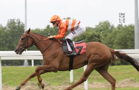 PREMIO DEL GIUBILEO_TROFEO SNAI PAY_2024 all'ippodromo snai SAN SIRO