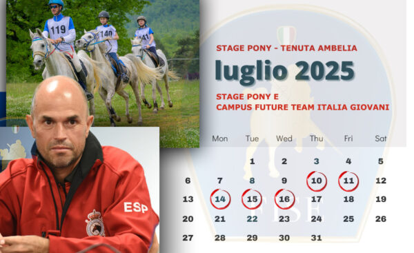 Stage pony tenuta Ambelia Endurance