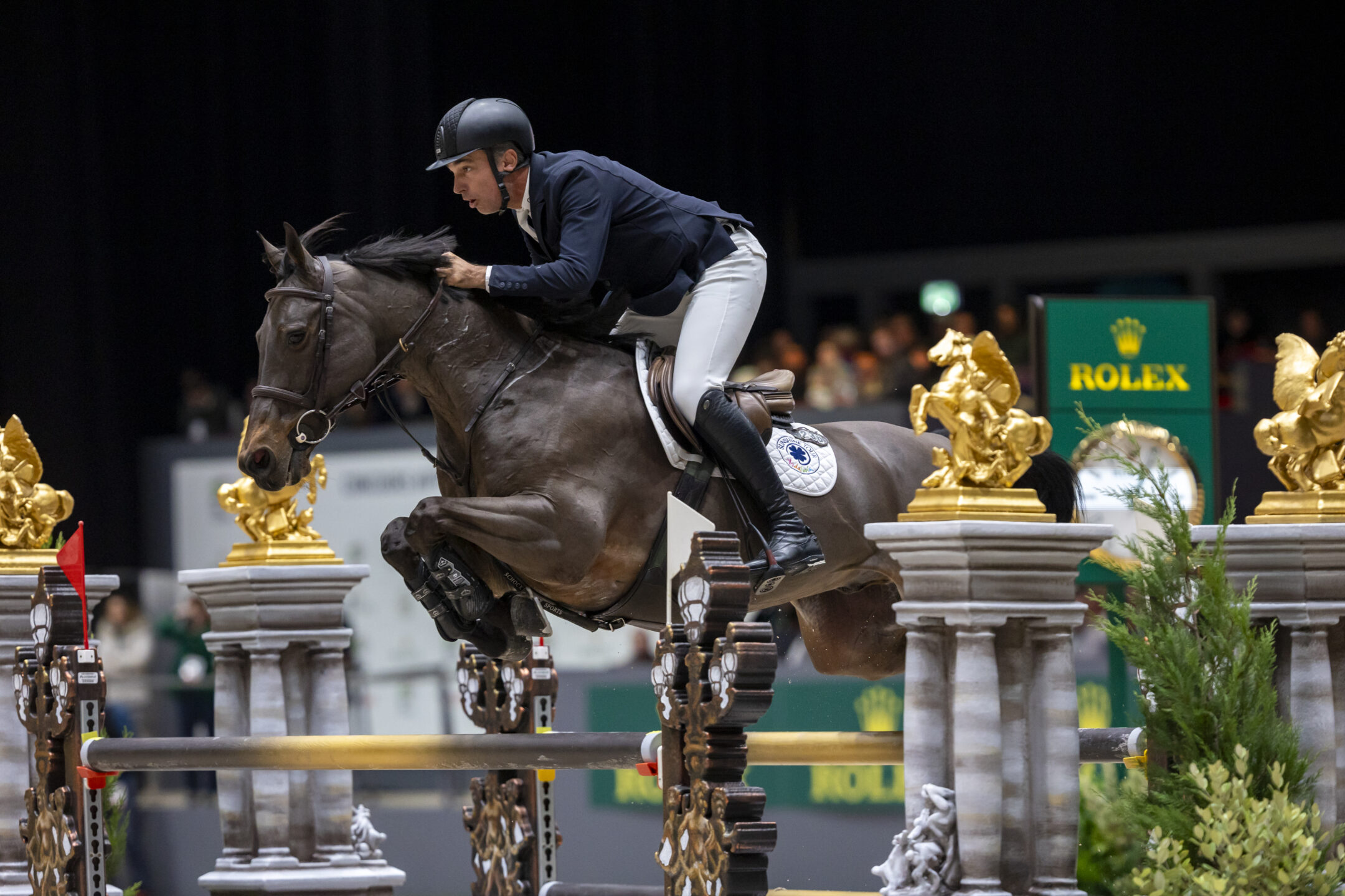 TRAPOTE Armando ESP riding TORNADO VS Gelding GENEVE 2024 TRAPOTE Armando ESP riding TORNADO VS Gelding GENEVE 2024 6Z1A5995