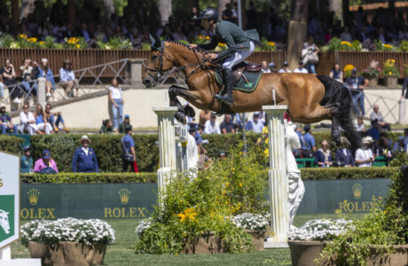 Miss Blue Saint-Blue Farm, si è spenta la cavalla olimpica di Yuri Mansur 1 Yuri Mansur BRA Miss Blue Saint Blue Farm CSIO ROMA 2025 25 05 25 SS353948
