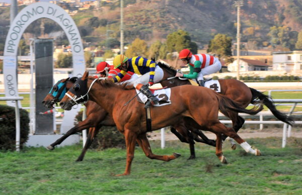 corse ippodromo di agnano
