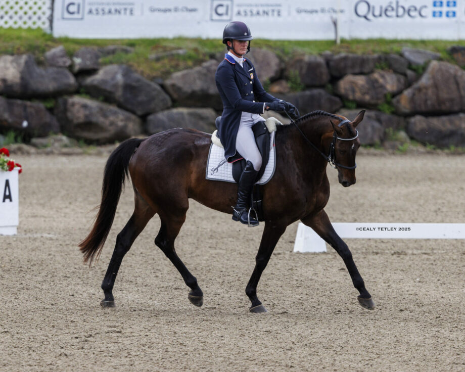 Nicholson al comando del CCI4*-L della MARS Bromont. 2 bromont 1