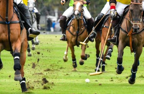 Polo, emozioni e sport: El Porteño conquista la Golden Cup 2025 al Magenta Polo Club. 1 Polo, emozioni e sport: El Porteño conquista la Golden Cup 2025 al Magenta Polo Club