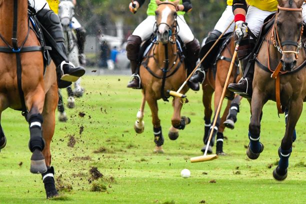 Polo, emozioni e sport: El Porteño conquista la Golden Cup 2025 al Magenta Polo Club. 1 Polo, emozioni e sport: El Porteño conquista la Golden Cup 2025 al Magenta Polo Club