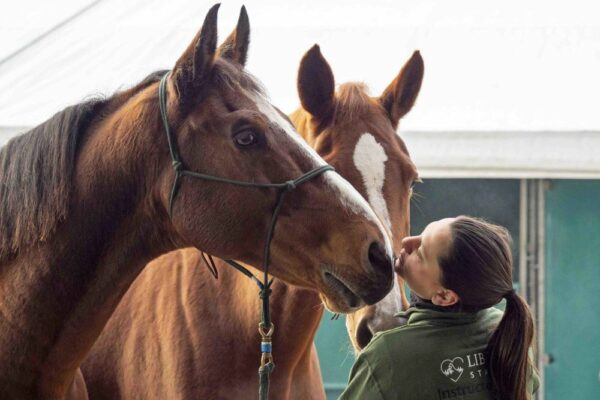 Nuovo Layout espositivo per Fieracavalli: un rinnovato approccio al Visistor Journey risidegna ridisegna la manifestazione. 22 Nuovo Layout espositivo per Fieracavalli: un rinnovato approccio al Visistor Journey risidegna ridisegna la manifestazione