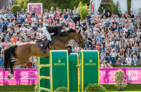 Steve Guerdat "Amo il concorso di Dinard". 1 Steve Guerdat "Amo il concorso di Dinard"