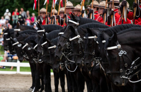 Nicholson al comando del CCI4*-L della MARS Bromont. 1 Nicholson al comando del CCI4*-L della MARS Bromont