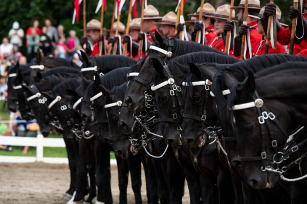 Nicholson al comando del CCI4*-L della MARS Bromont