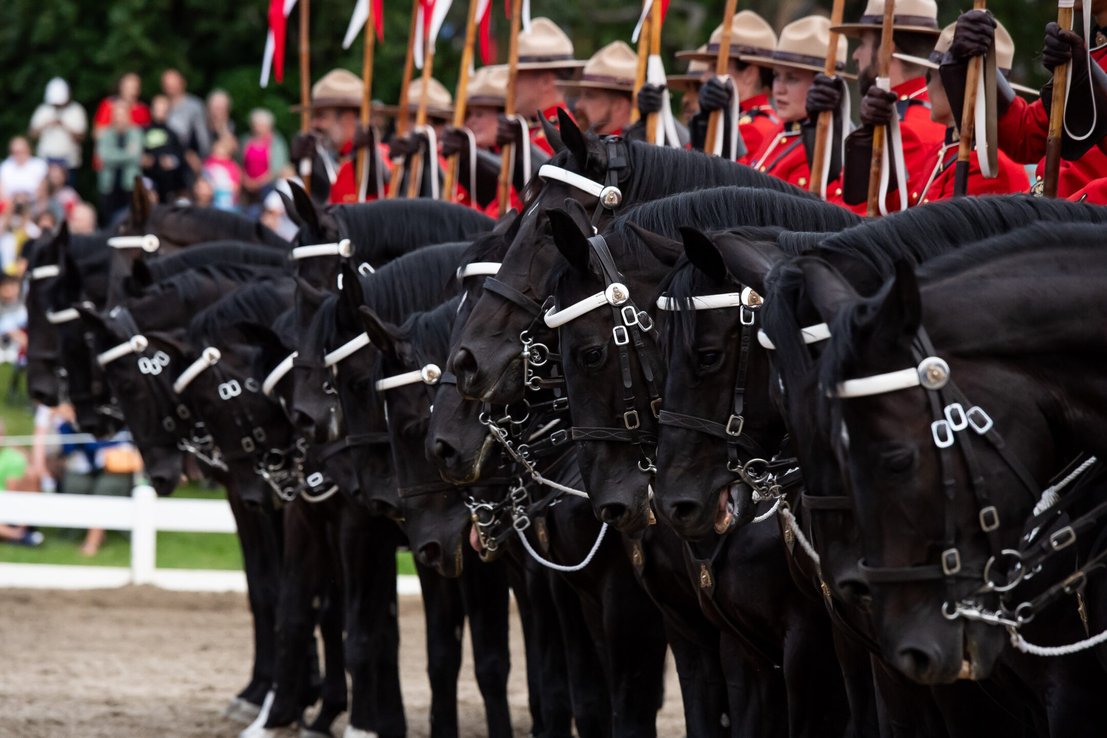 Nicholson al comando del CCI4*-L della MARS Bromont. 1 Nicholson al comando del CCI4*-L della MARS Bromont