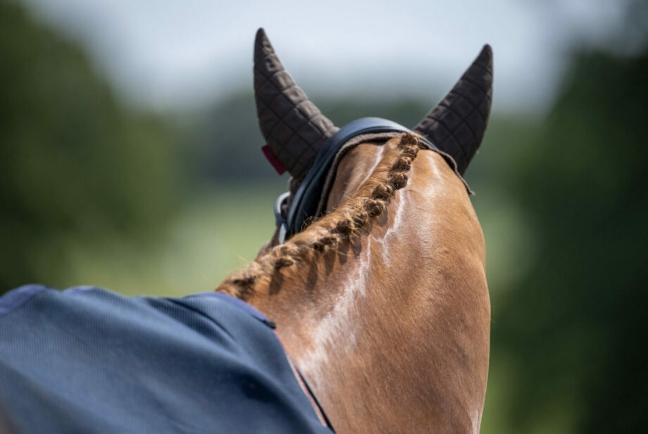 Lo slancio dell'Europa equestre si rafforza in vista della finale di Avenches. 2 unnamed430