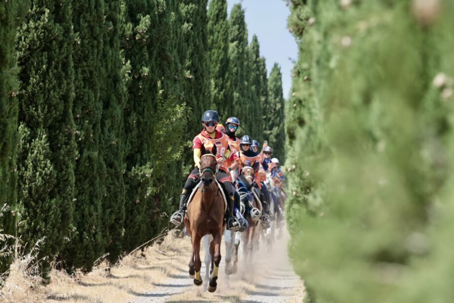 Zigulì FEI Endurance European Championship 2025. L’Umbria corre con l’endurance! 3 whatsapp IMG 1824