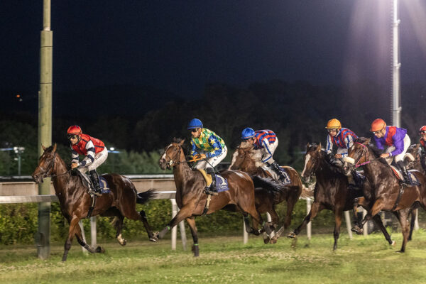 Storybom all'Ippodromo Federico Caprilli