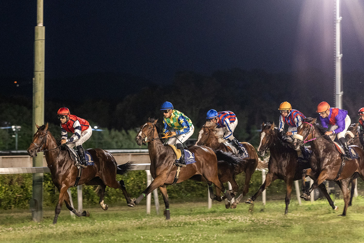 Ippodromo Federico Caprilli: notte bianca dello sport sabato 12 luglio 2025 1 Storybom all'Ippodromo Federico Caprilli