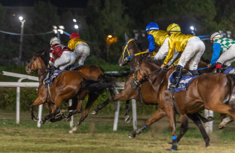Corse all'Ippodromo Federico Caprilli