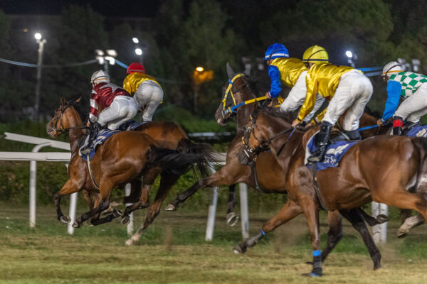 Corse all'Ippodromo Federico Caprilli