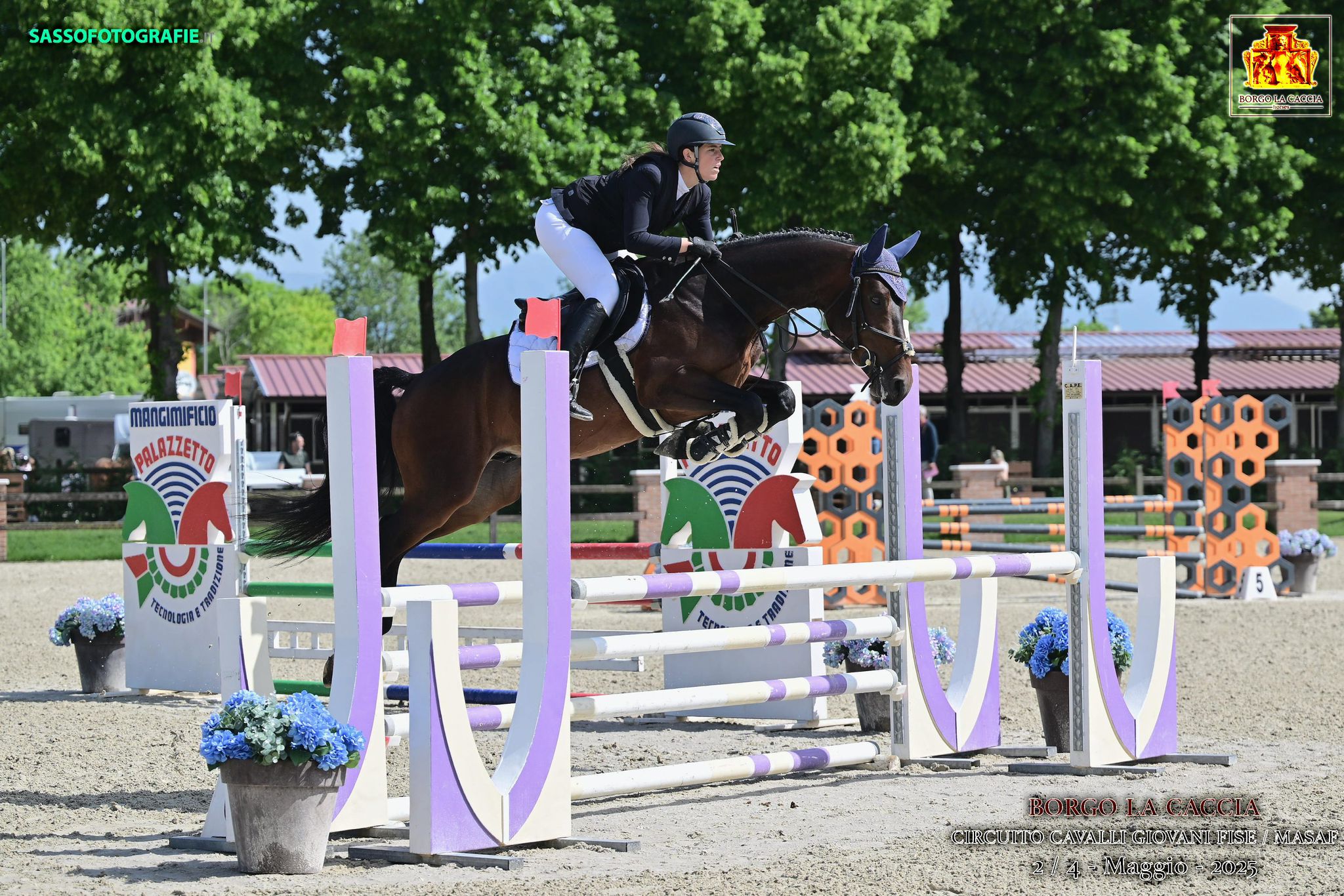 Alessia Costalla su Caybreaker puledro nato in OPU-ICSI nel 2021 da Heartbreaker x Cayenne wd z - Calvaro z