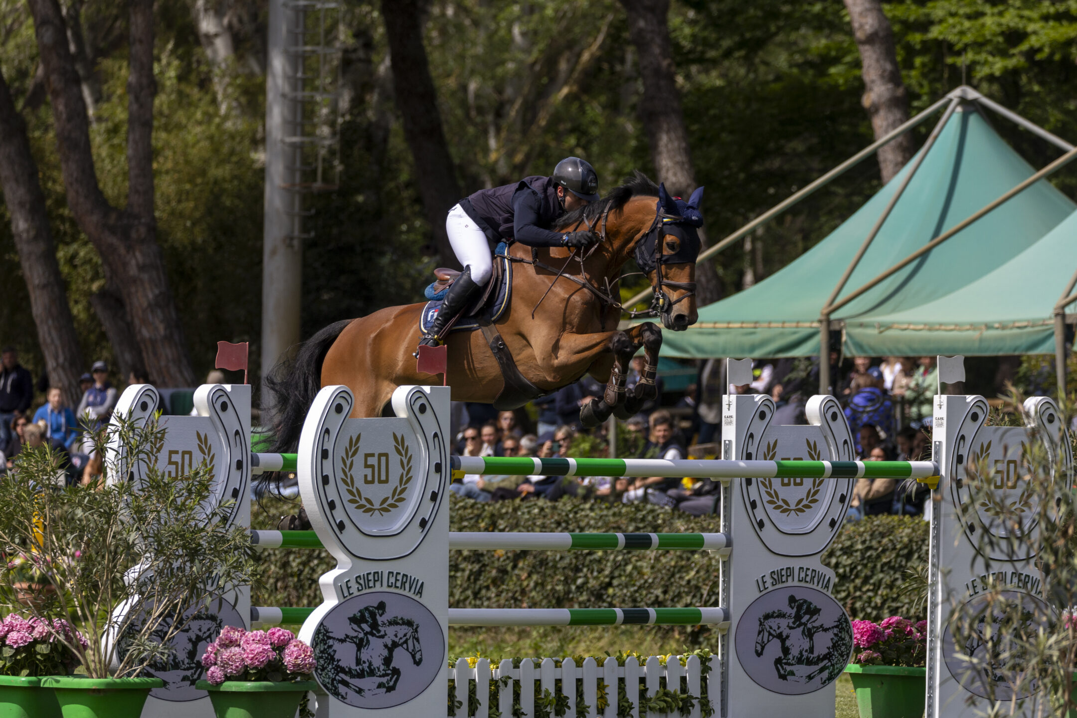 Carrara Alberto riding Mowgli CampItaAss Cervia 20240419 SS359676