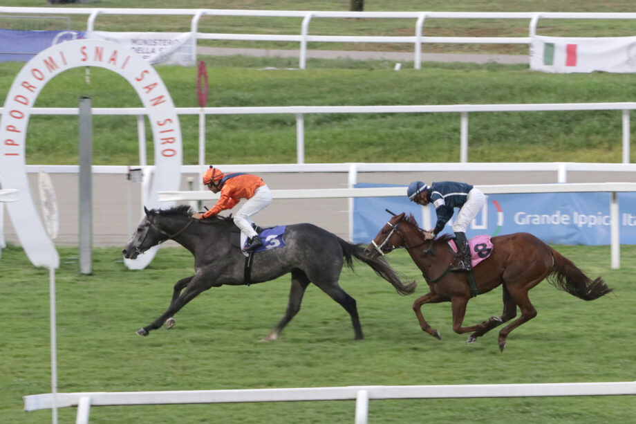 All'Ippodromo SNAI San Siro lunedì di galoppo valido per la 29^ giornata stagionale: tra vento e pioggia Magicstardust vince l'Handicap. 3 Corsa2 PREMIO PRINCIPATO DEL SACRO MONTE