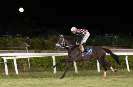 Grande weekend di sport e inclusione all’Ippodromo Caprilli 1 all'ippodromo Caprilli Eroe de Bonorva - Davide Cirocca