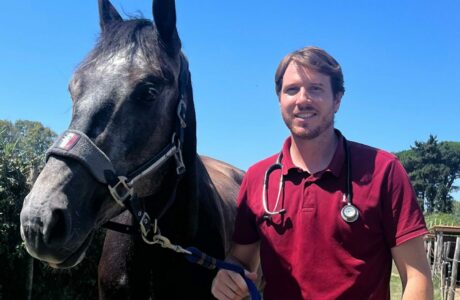 Lo sviluppo tecnologico nella medicina veterinaria 1 Federico di Giuliano
