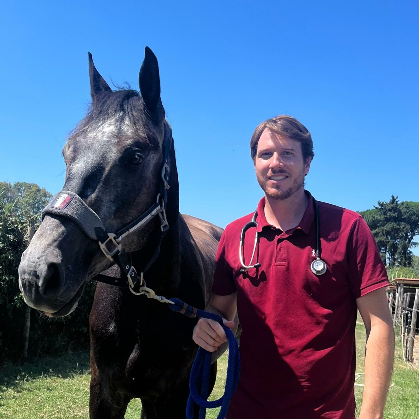 Lo sviluppo tecnologico nella medicina veterinaria 1 Federico di Giuliano