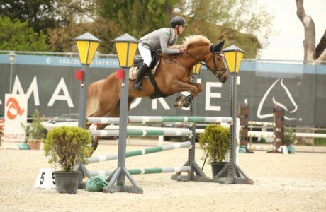 La Fise Sardegna programma l'attività di formazione del settore giovanile con gare (sabato e domenica Ala Birdi), stage e trasferte nella penisola. 1 Ala Birdi campionati giovani cavalli