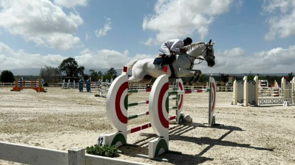 Giovanni Carboni su Ardita Nice