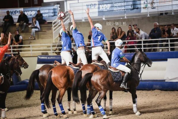 Horseball generica