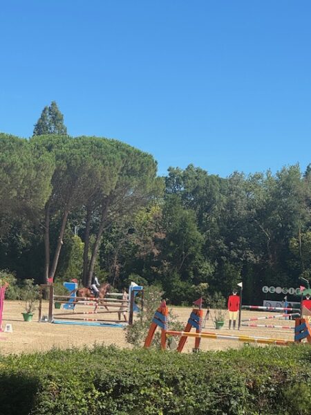 meglio un campo grande o piccolo nel salto ostacoli